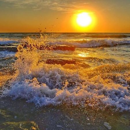 Sunrise Luxury Apartments Navodari Dış mekan fotoğraf